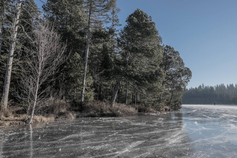 Etang de la Gruère Eis