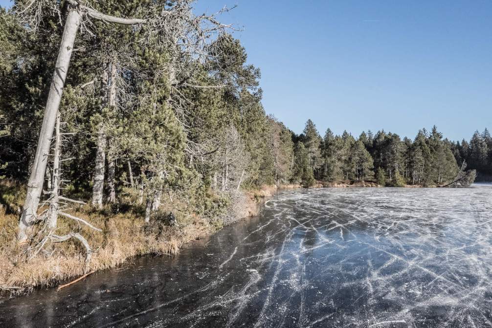 Gefrorener Etang de la Gruère