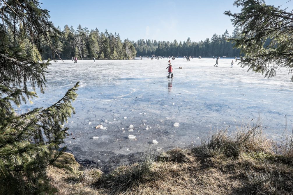 Etang de la Gruère Schlittschuhlaufen