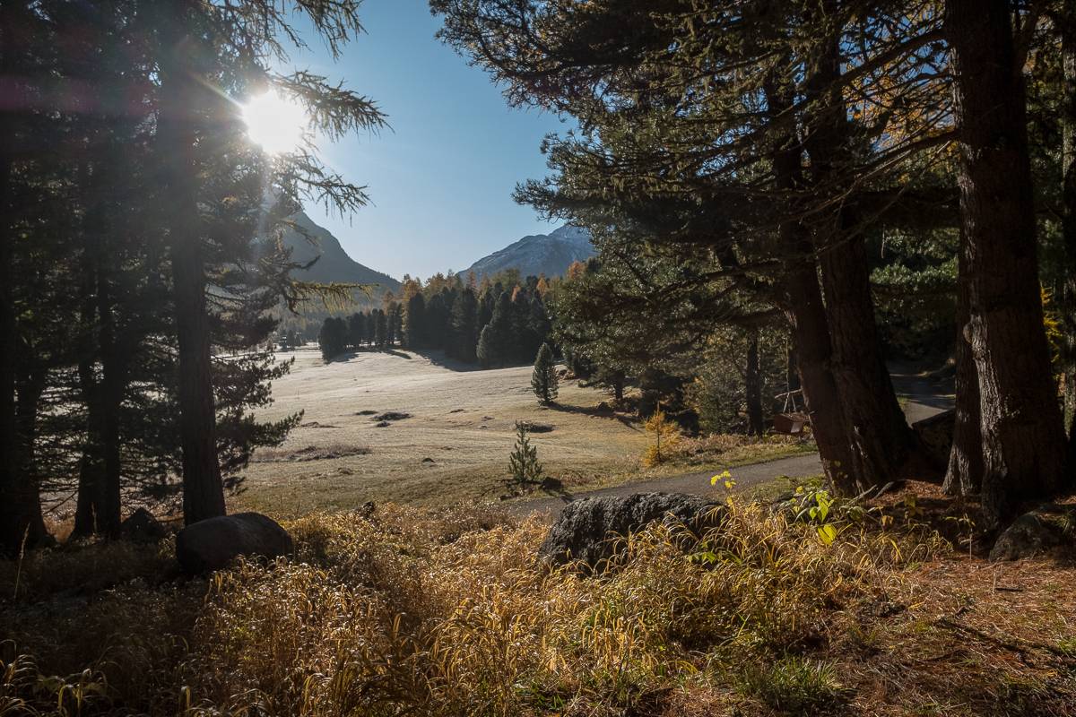 herbst im engadin