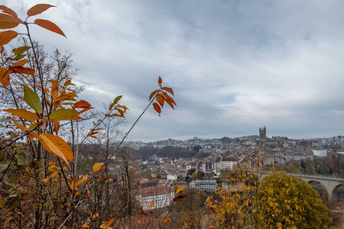 Fribourg Herbstwanderung