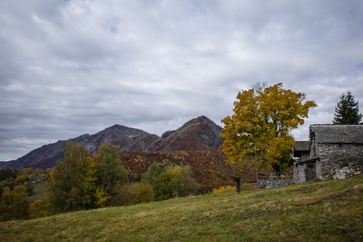 Herbst auf dem Monte Comino