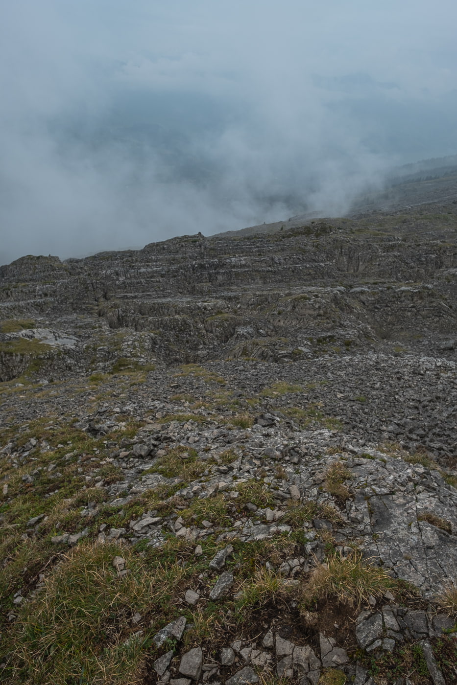 Karstlandschaft Vegetation