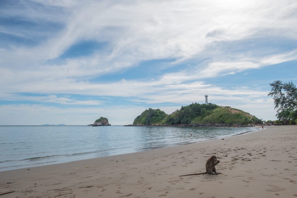 Monkey National Park Koh Lanta