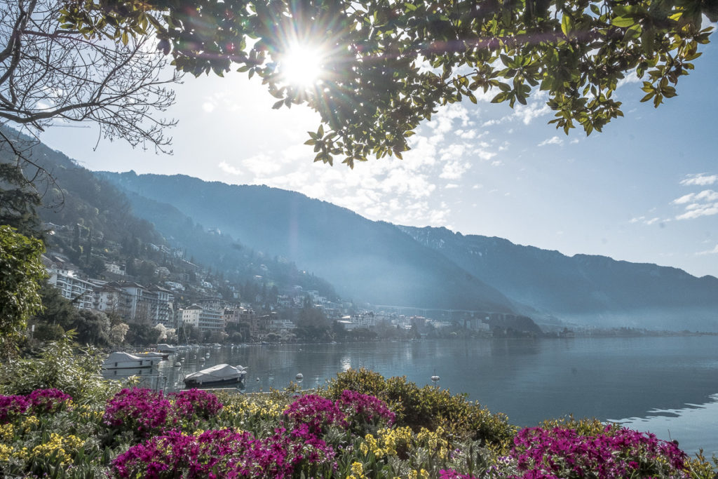 Lac Léman Frühling