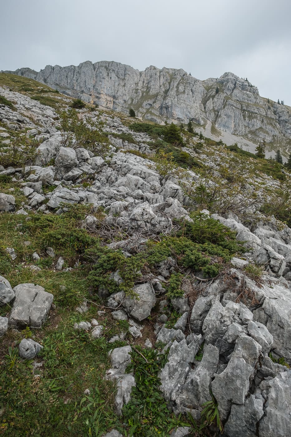 Landschaft Karst Kalkgestein
