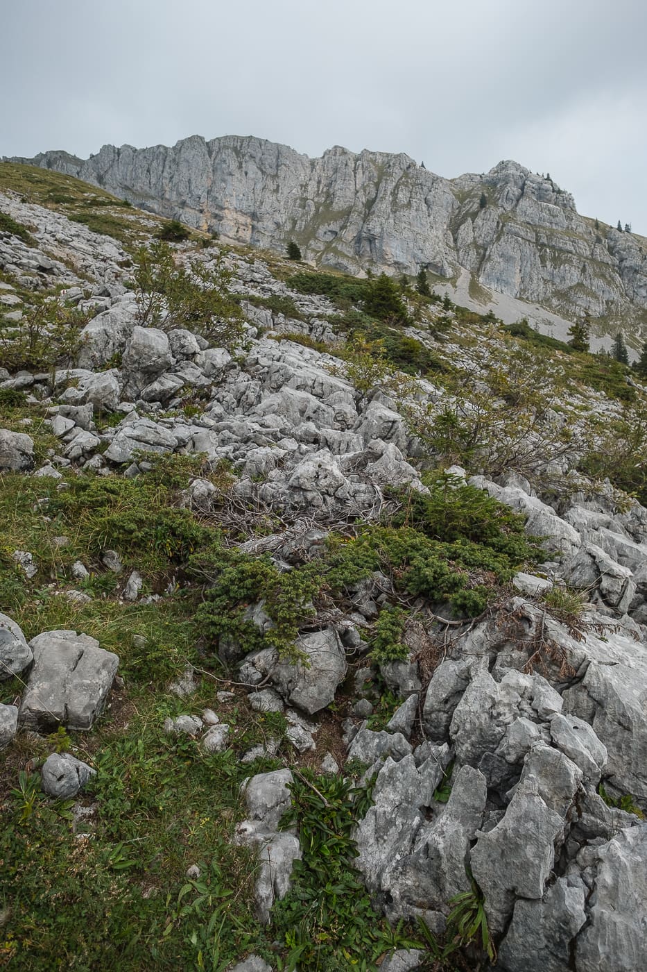 Landschaft Karst Kalkgestein