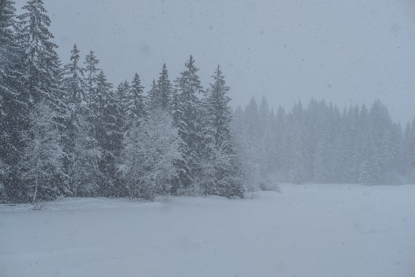 Moorsee im Schnee