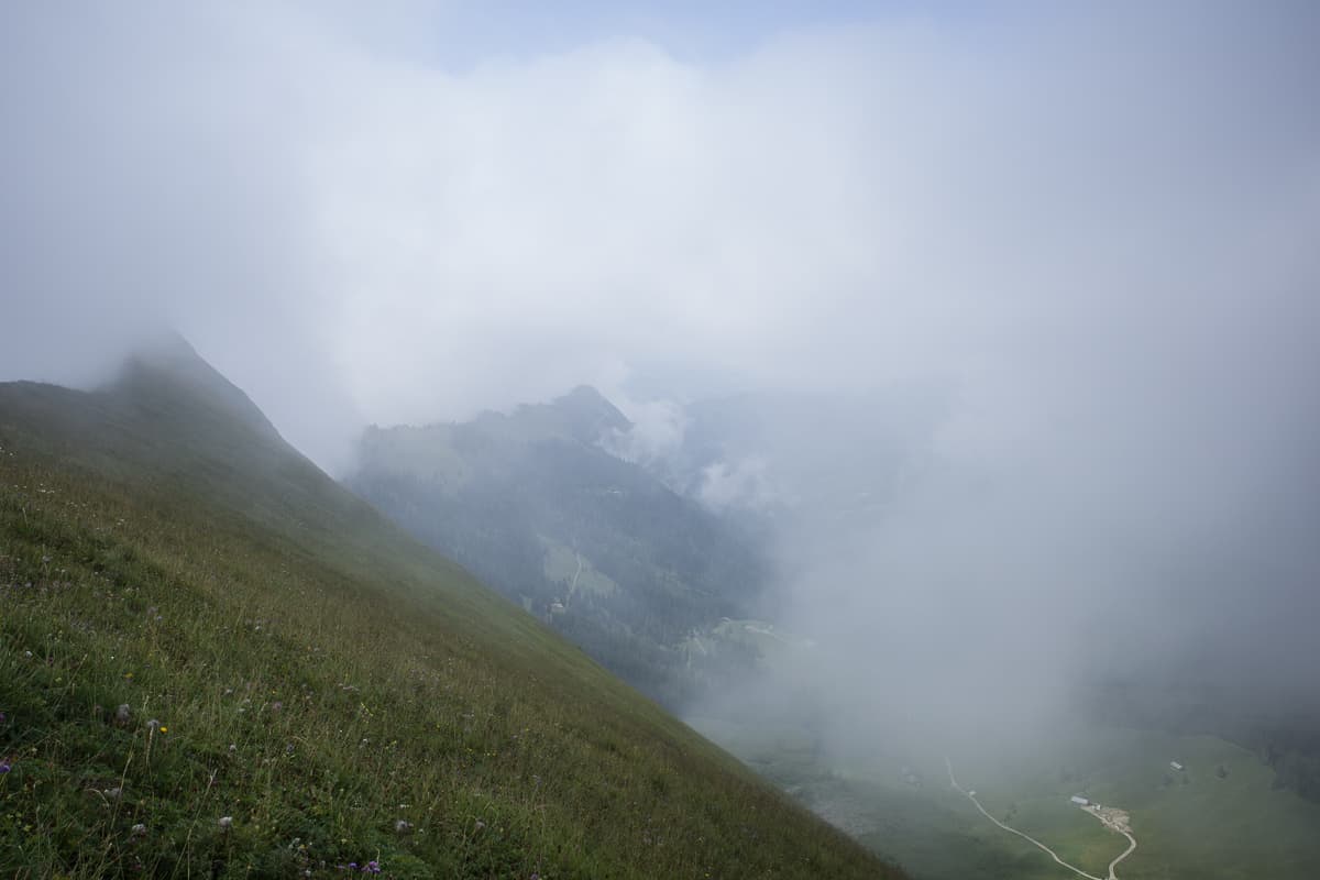 Nordflanke Brienzergrat