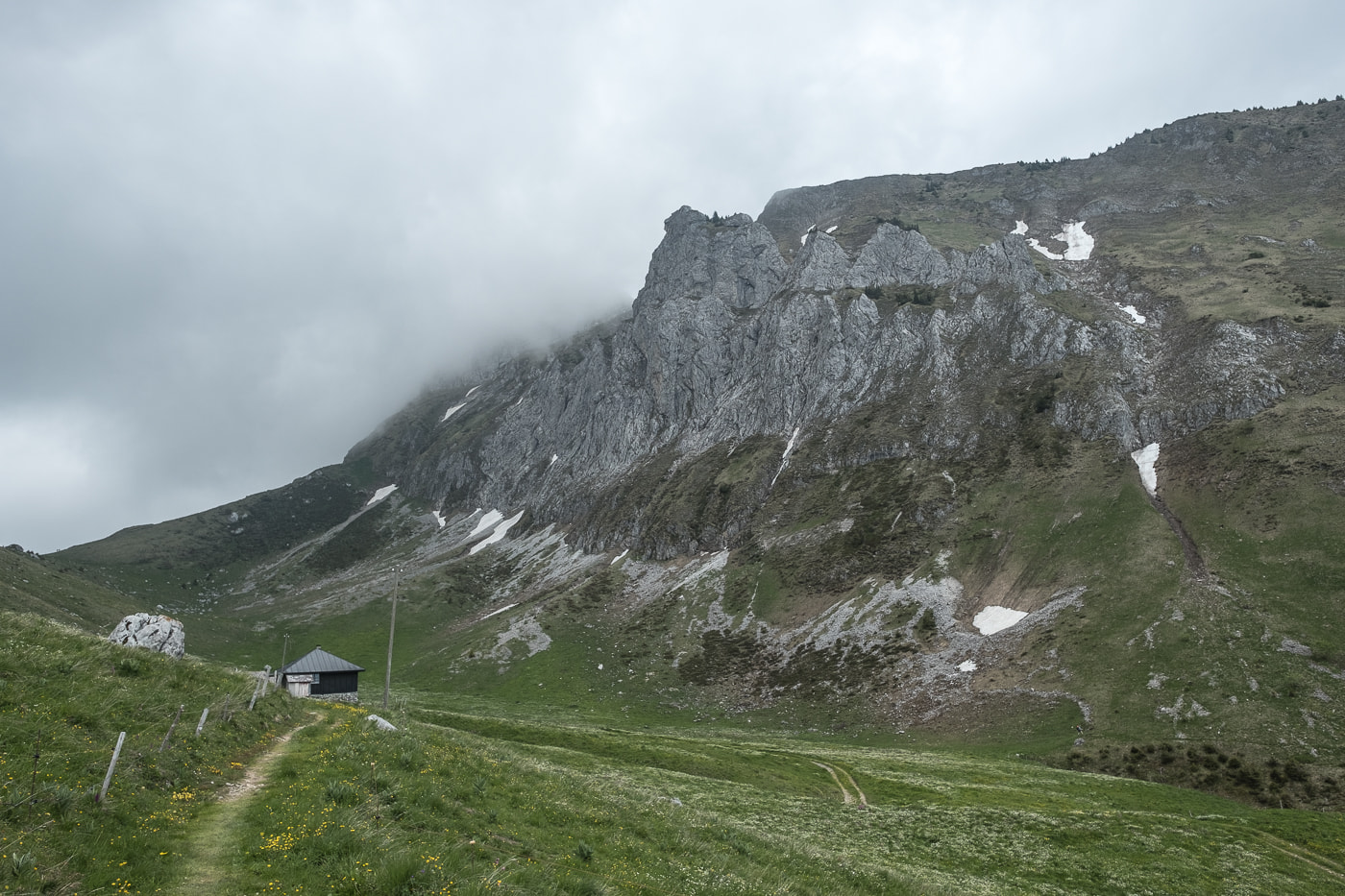 oberi walalp