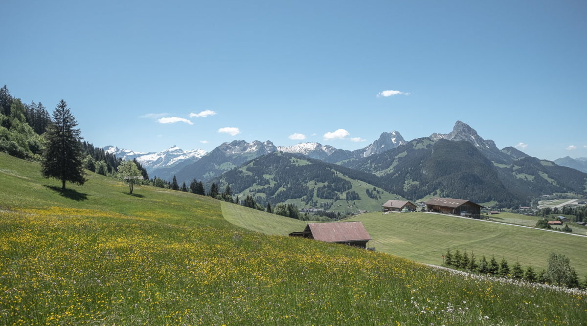 panoramaweg-gstaad-schoenried