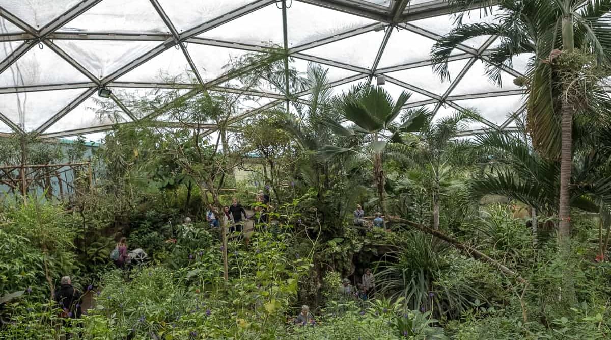 papiliorama kerzers
