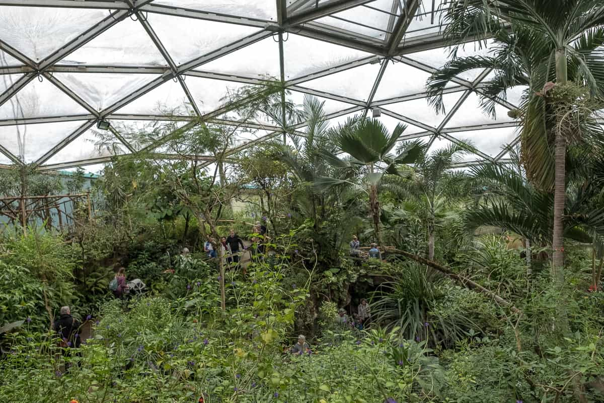 papiliorama kerzers