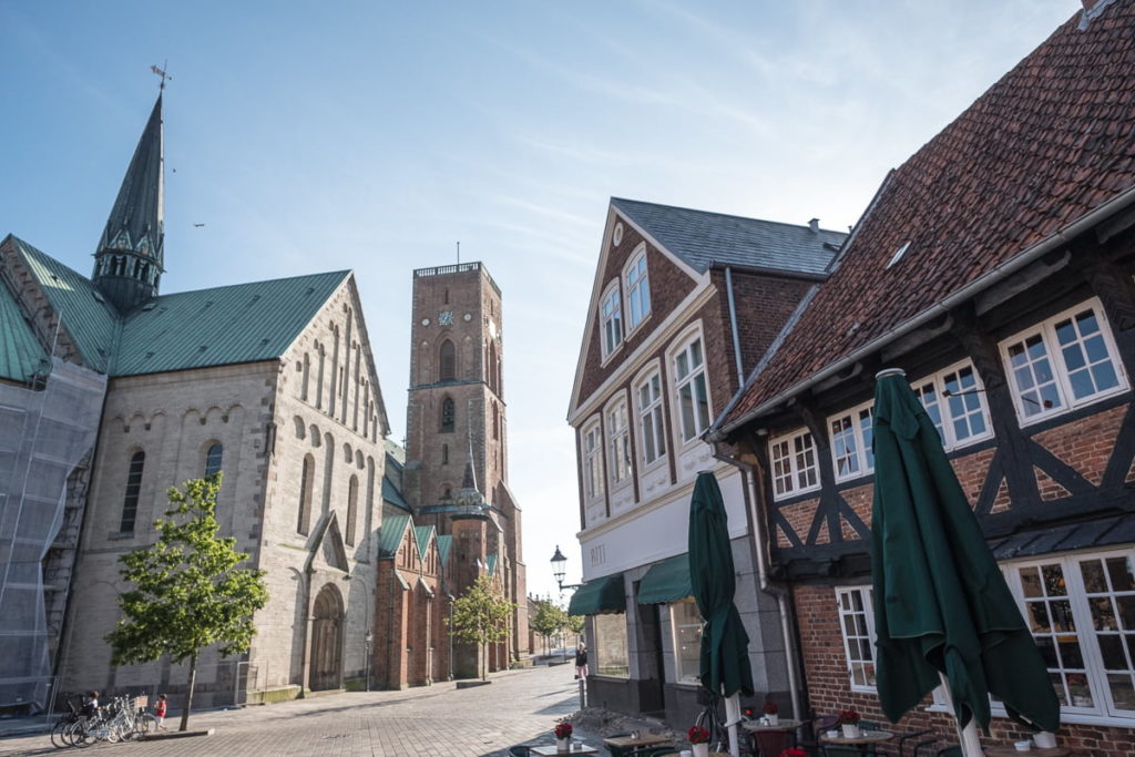 ribe-dom-platz