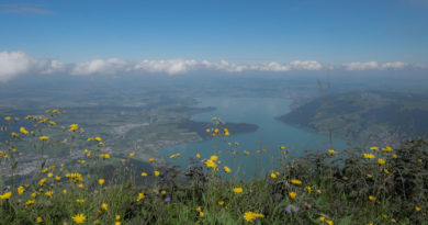 Rigi, die sogenannte Königin Rigi, die sogenannte Königin
