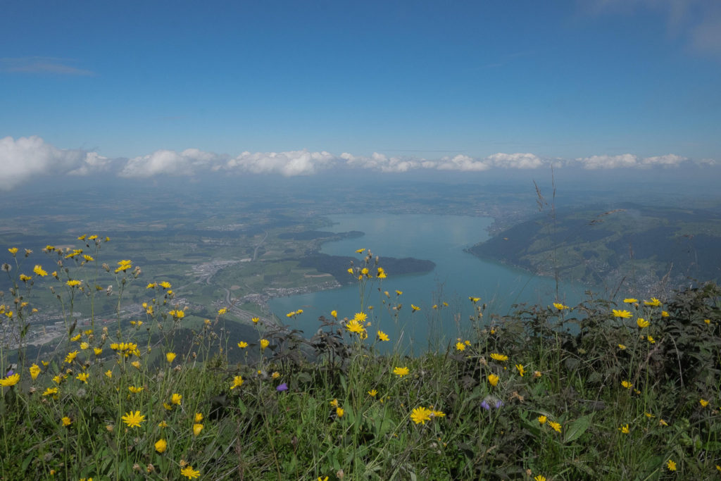 Rigi