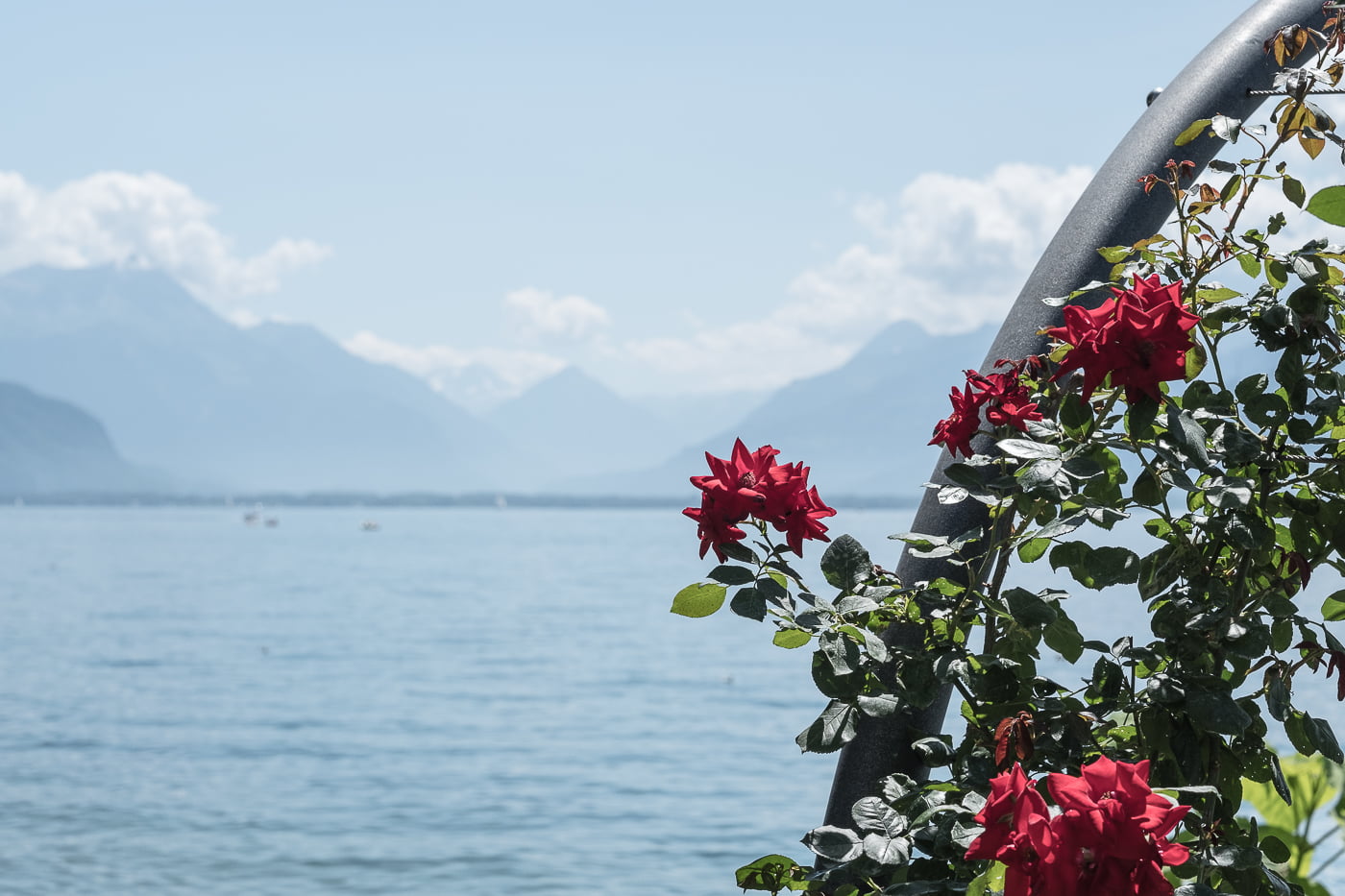 Riveria de Vevey