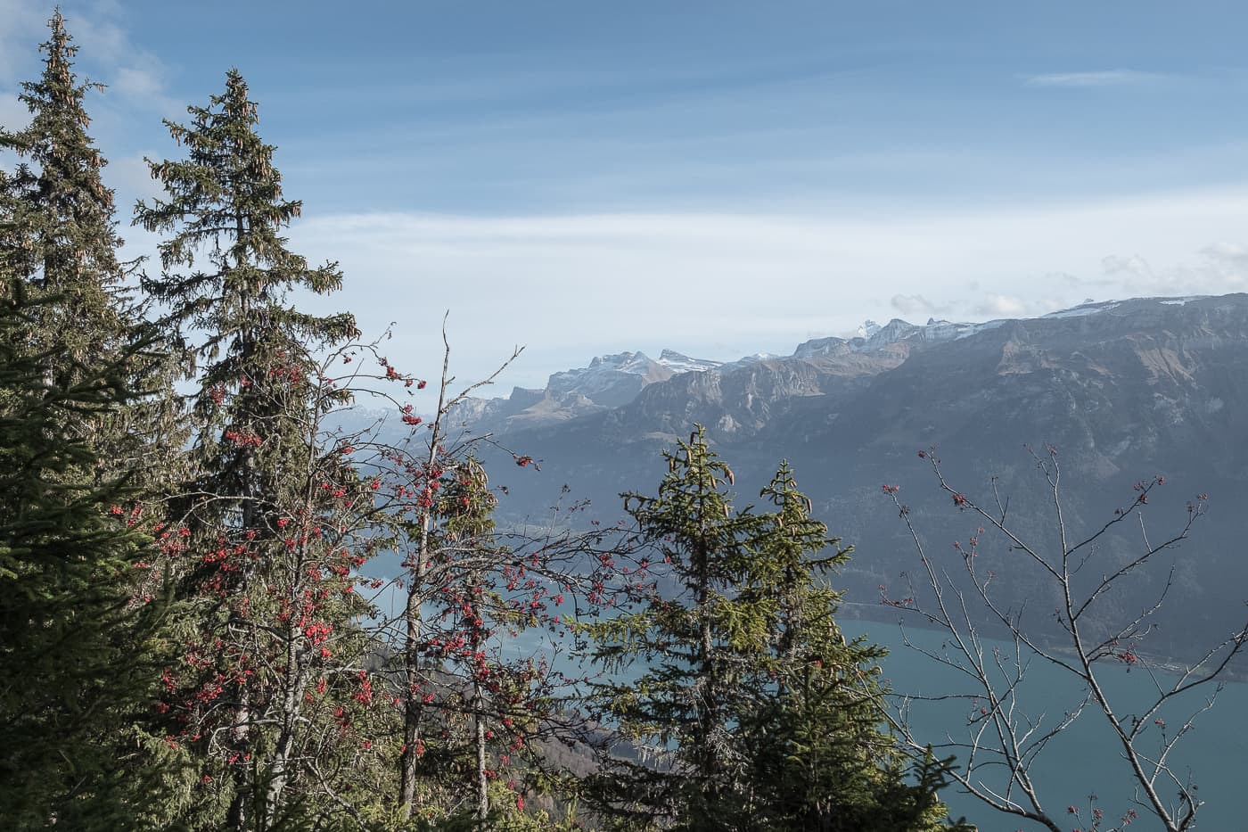 Rotflue auf dem Hardergrat Höhenweg