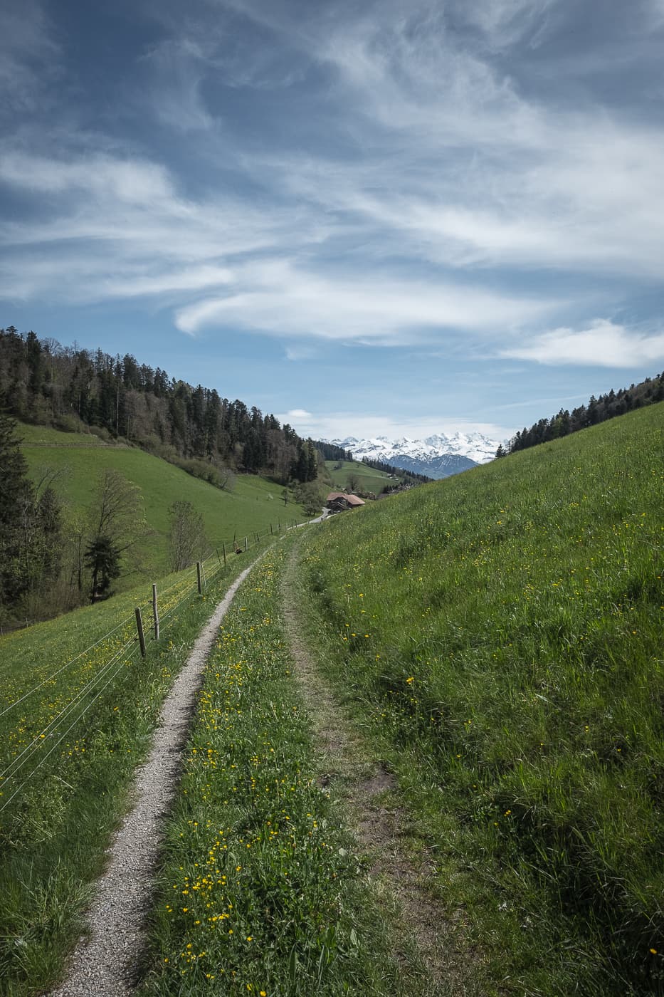 Rundwanderung über Goldiwil