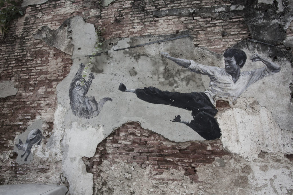 Kungfu Kid vs. Cat in Malaysia (Streetart)