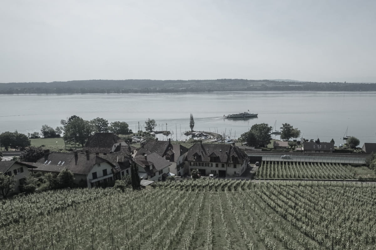 Schifffahrt auf dem Bielersee entlang der Rebbergen