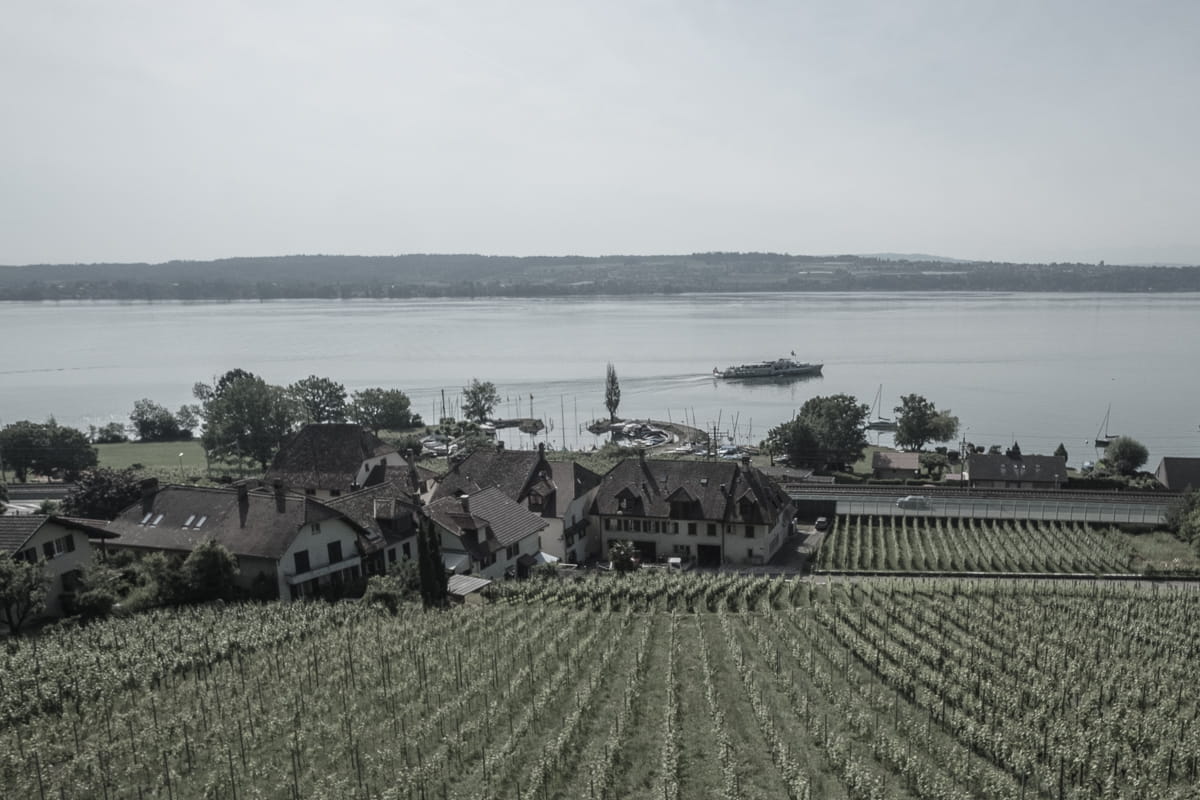 Schifffahrt auf dem Bielersee entlang der Rebbergen