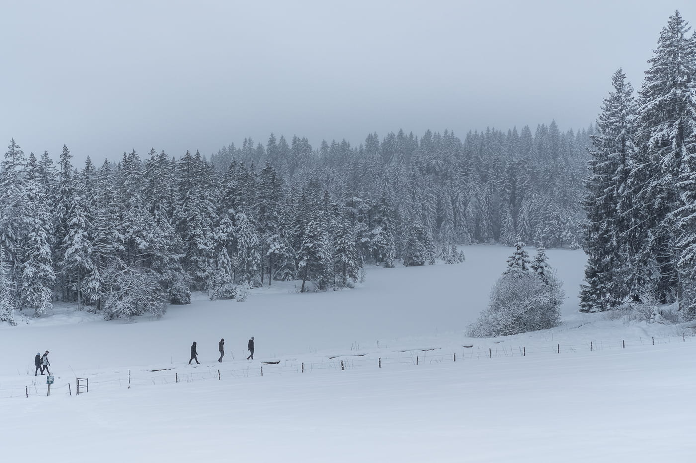 Schneelandschaft Freiberge Jura Schweiz