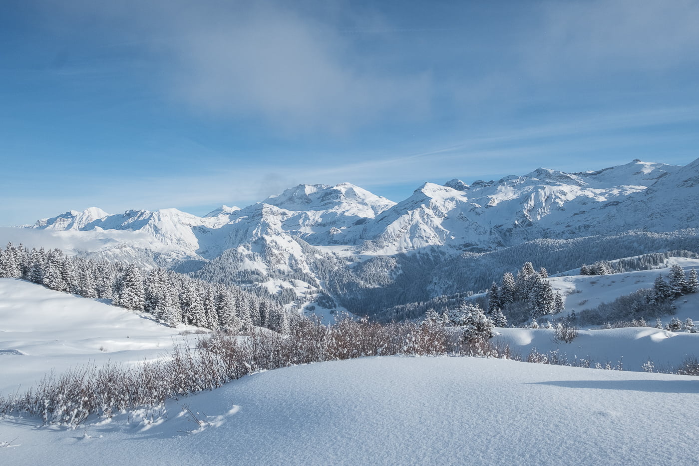 Schneelandschaft Kanton Bern