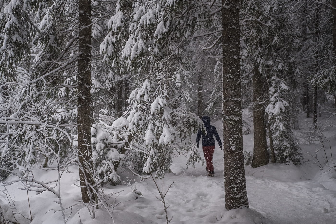 Schneespaziergang Moorsee Schweiz