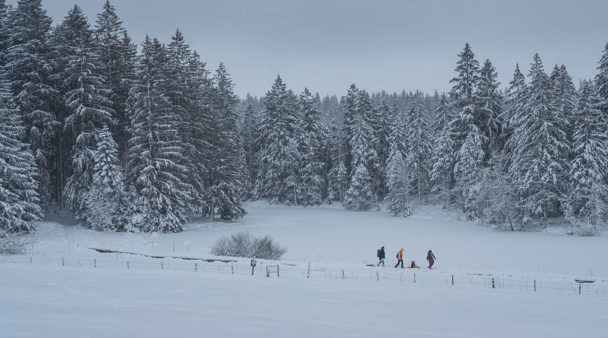 Schneewanderung am Etang de la Gruere