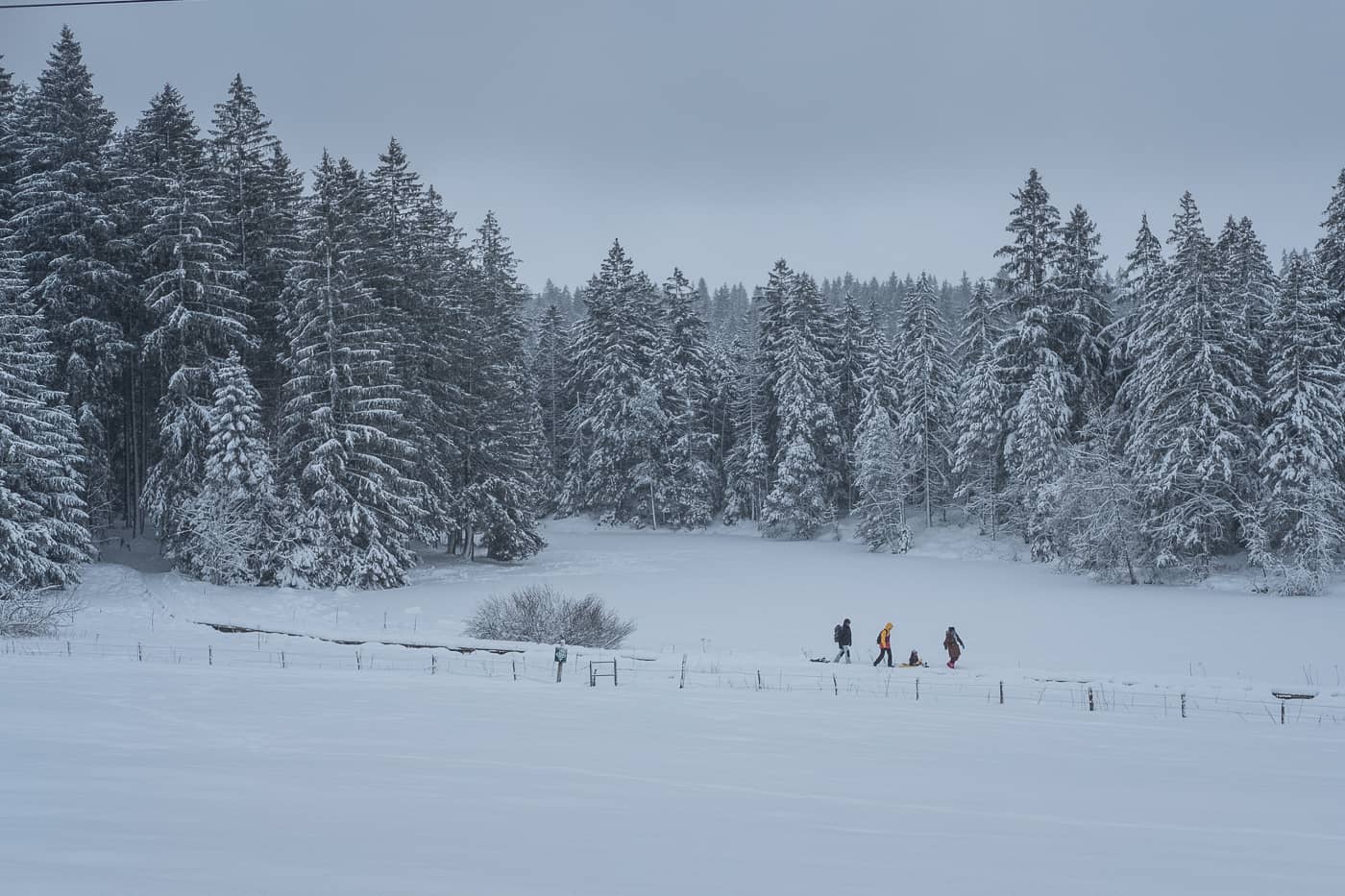 Schneewanderung am Etang de la Gruere