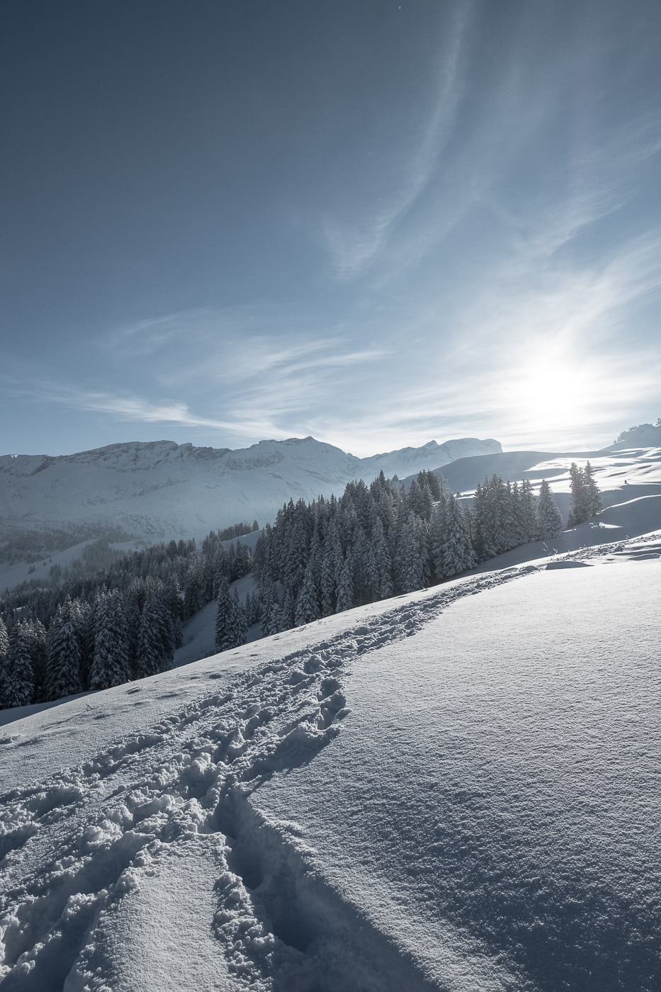 Schneewandern in Lenk Berner Oberland