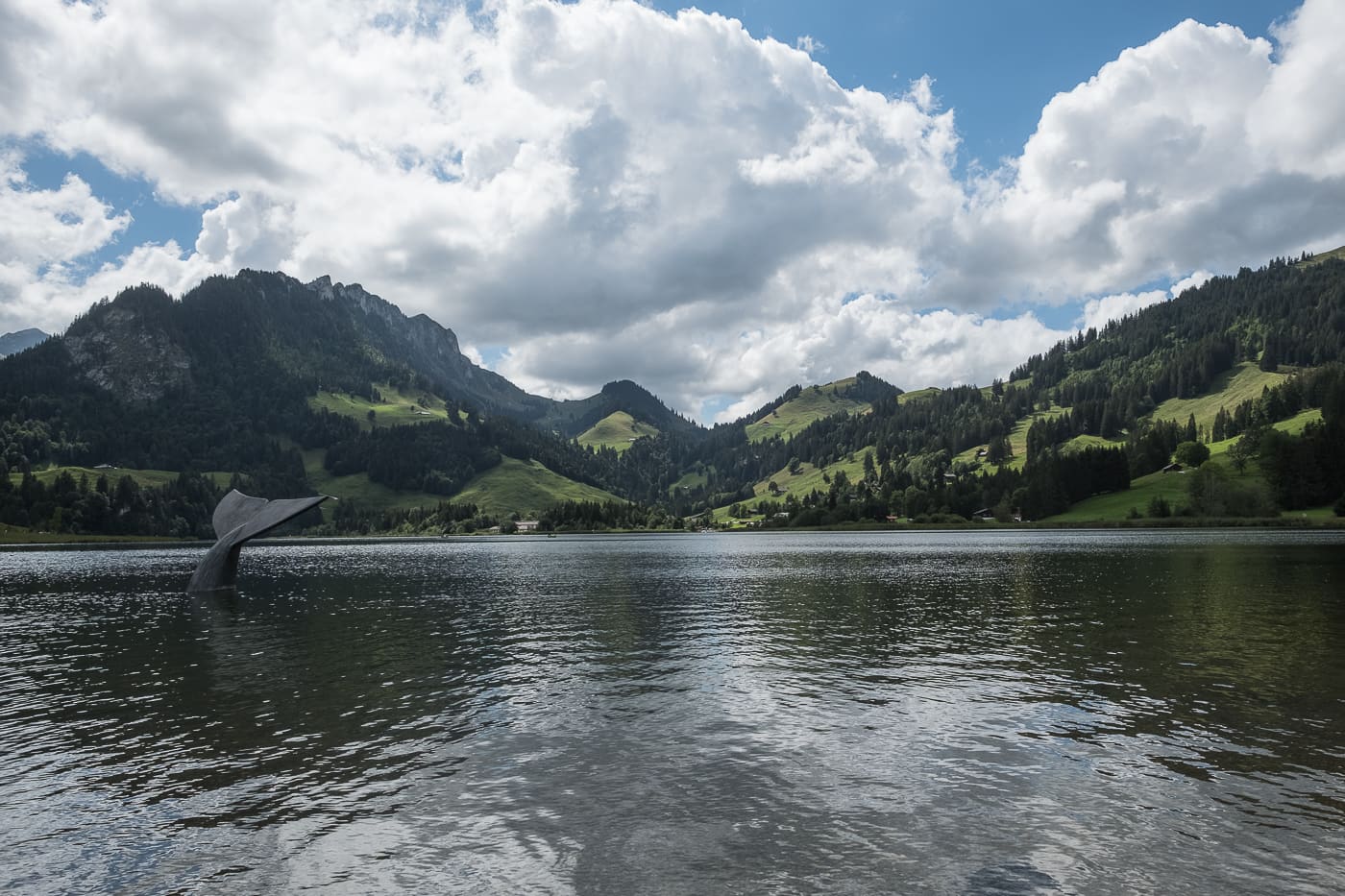 Schwarzsee im Sommer