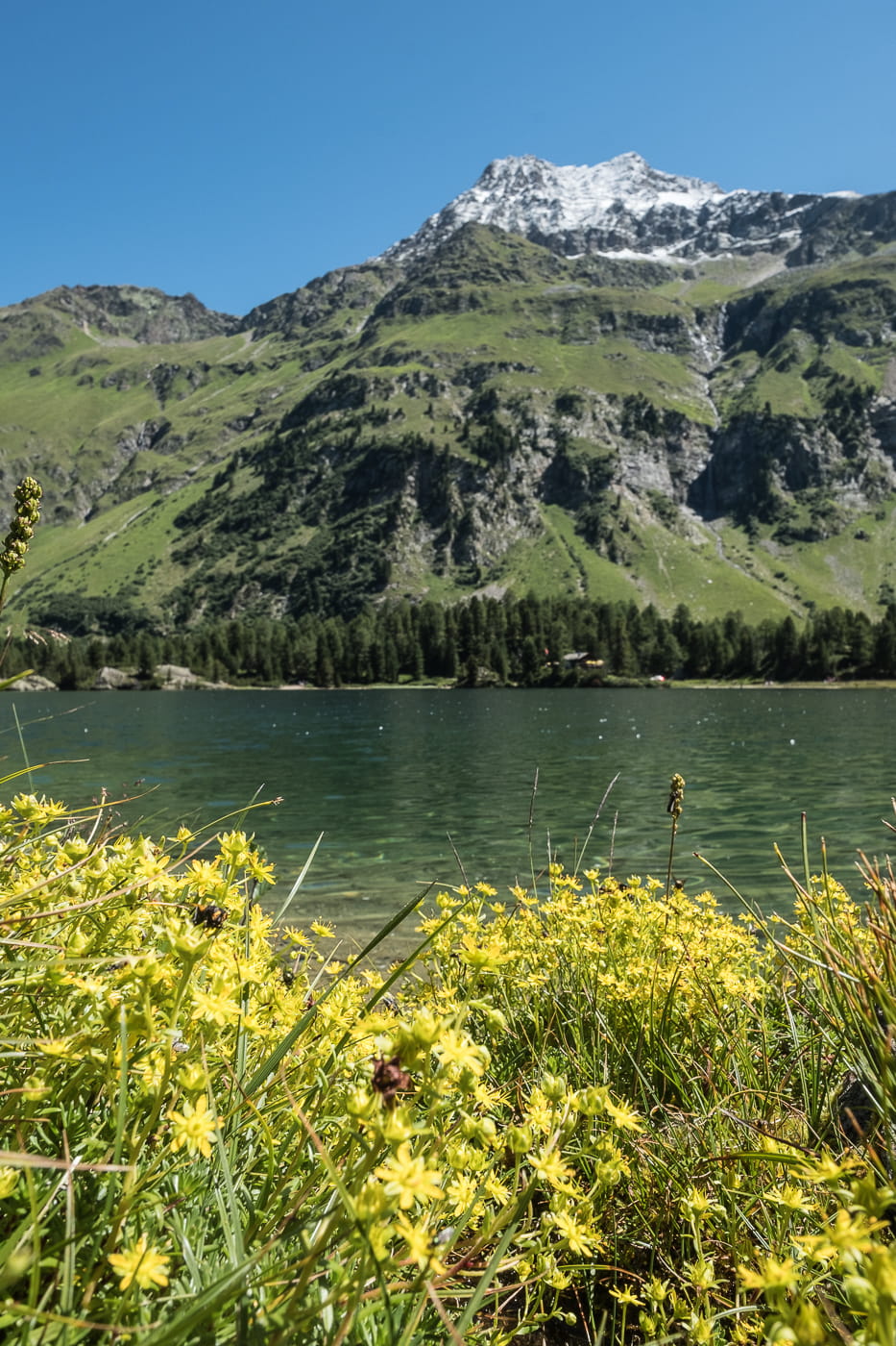 Sommer am Cavlocsee