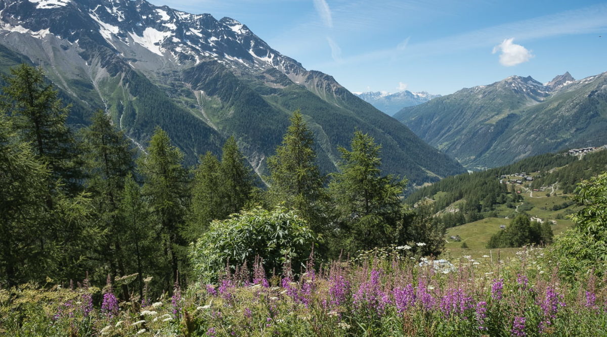 Sommer im Lötschental