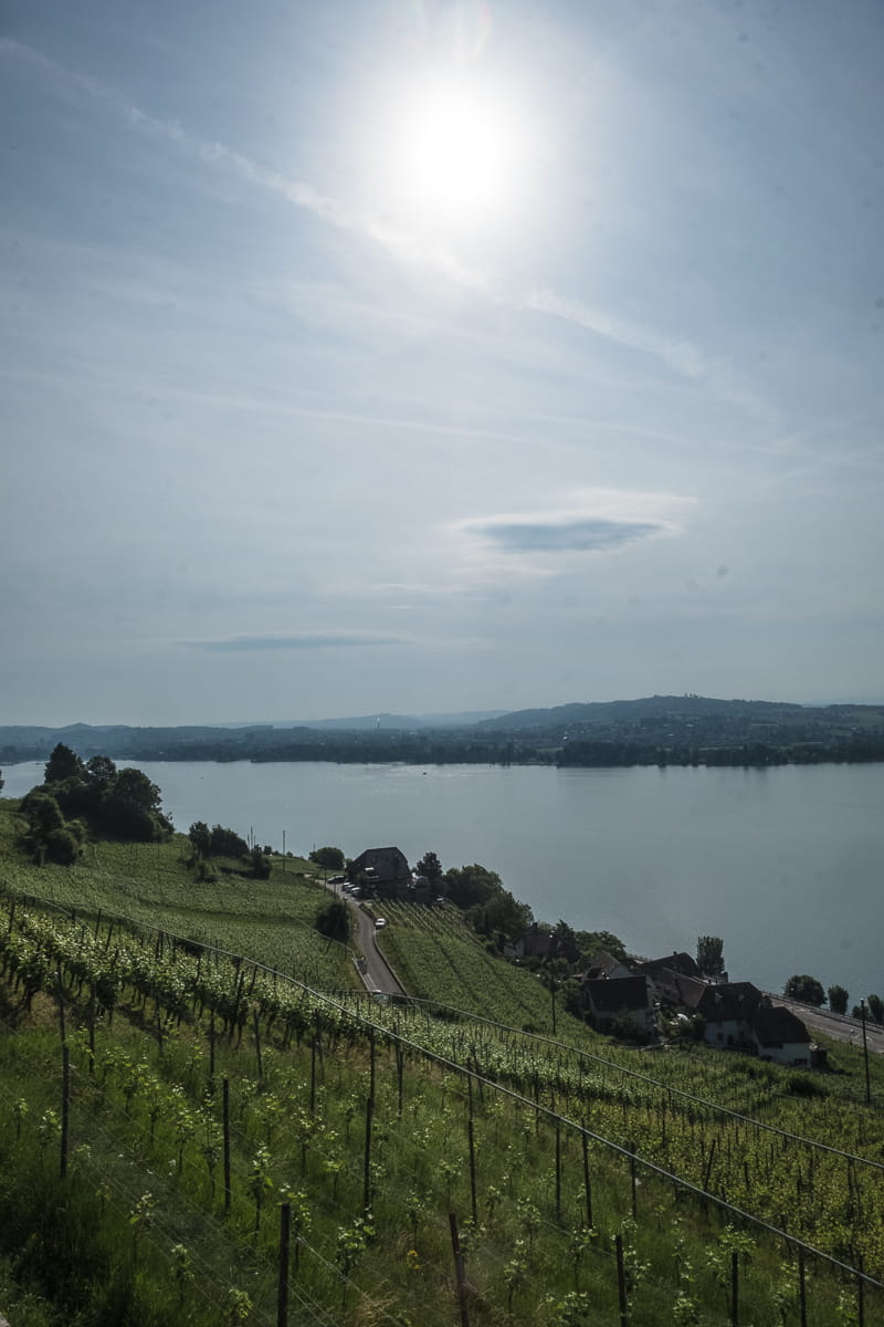 Sommertag auf dem Rebenweg