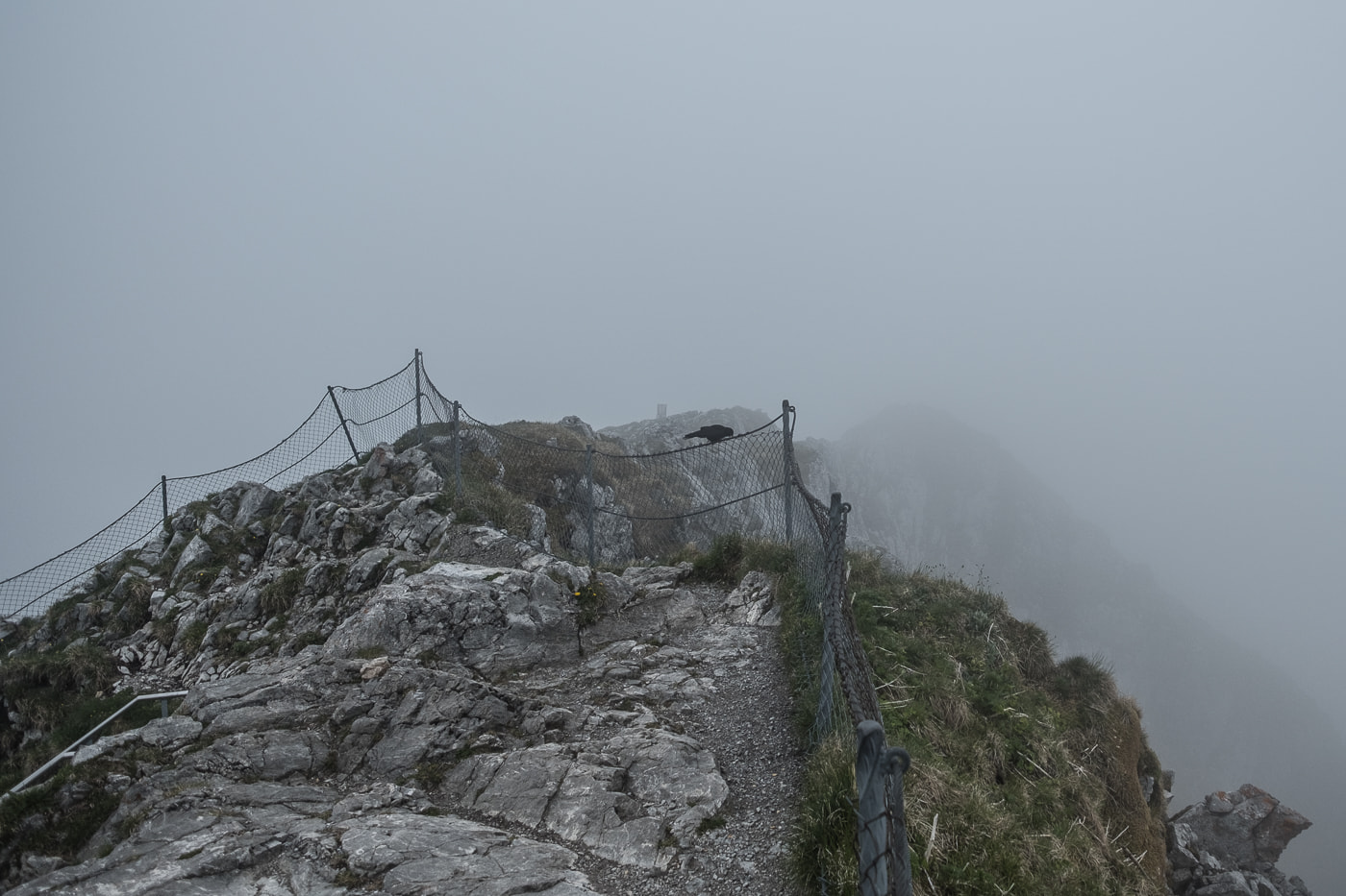 stockhorn gipfel im nebel