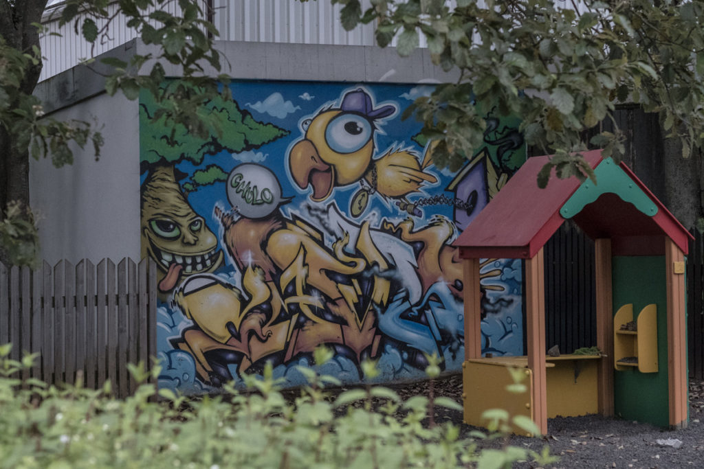 streetart iceland 5025