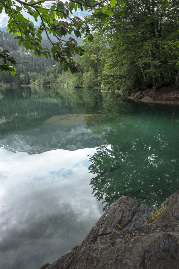 surselva crestasee