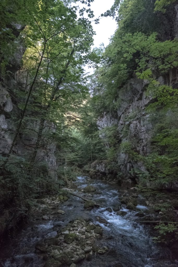 Taubenlochschlucht Frinvillier