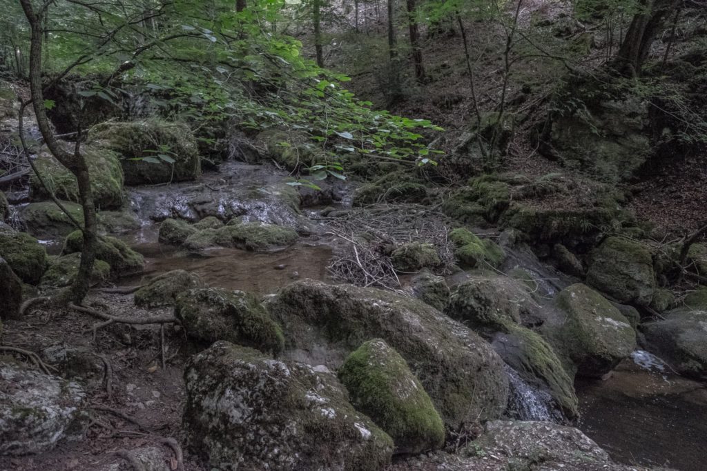 Wanderung Twannbachschlucht