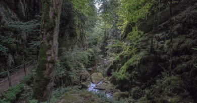 Wanderung durch die Twannbachschlucht Wanderung durch die Twannbachschlucht