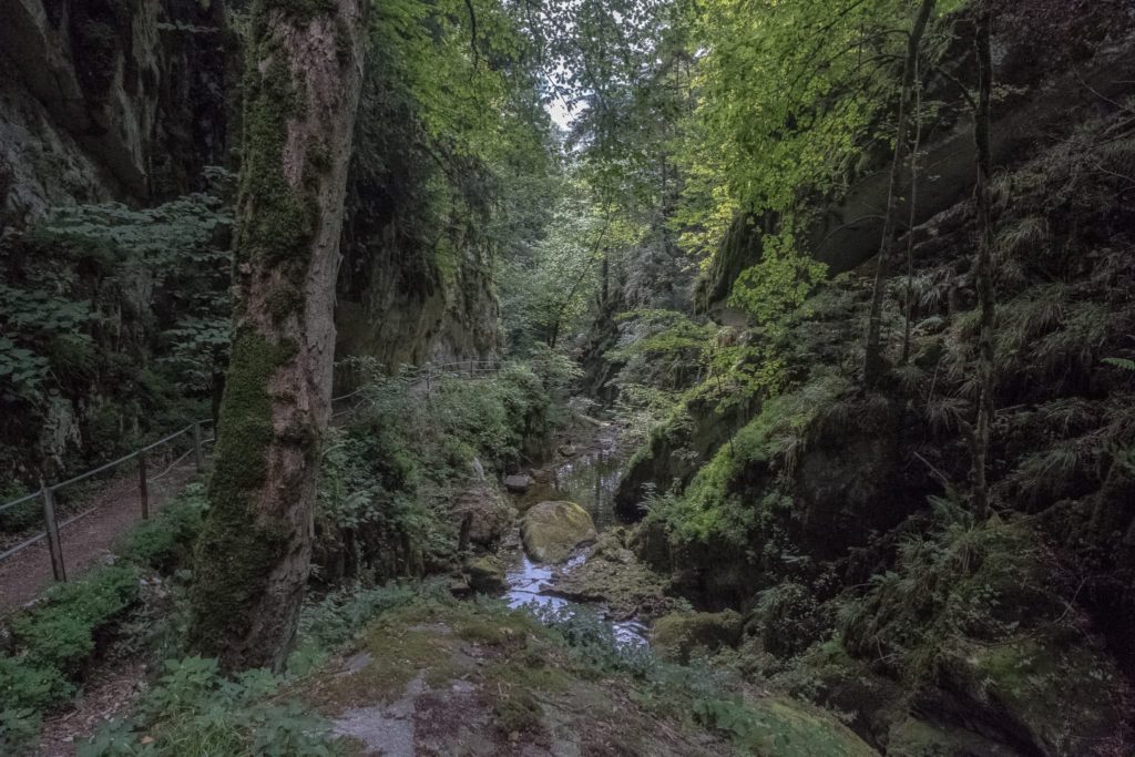 Spaziergang Twannbachschlucht