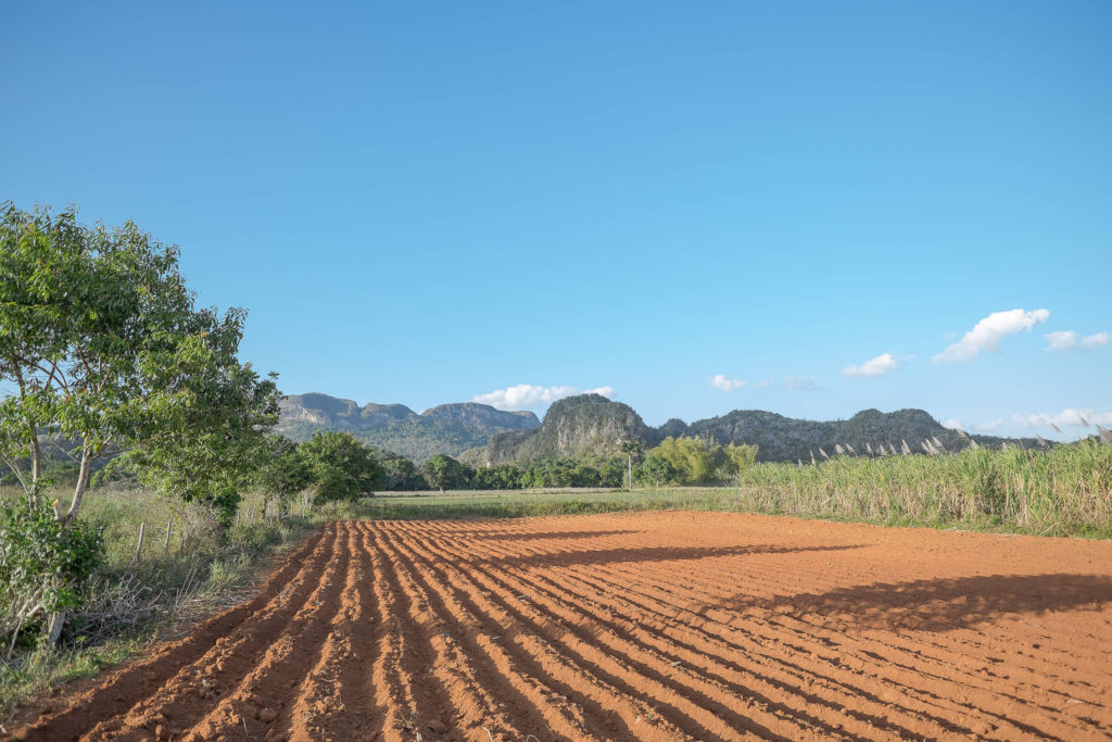 Vinales rote Erde