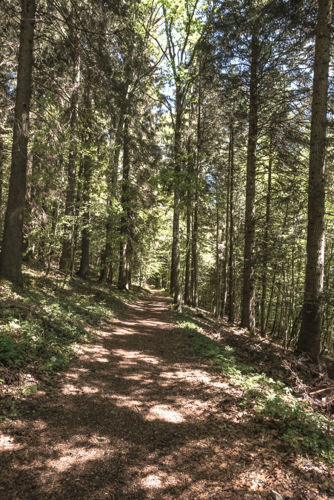 Wald Labyrinth Chaumont Chasseral