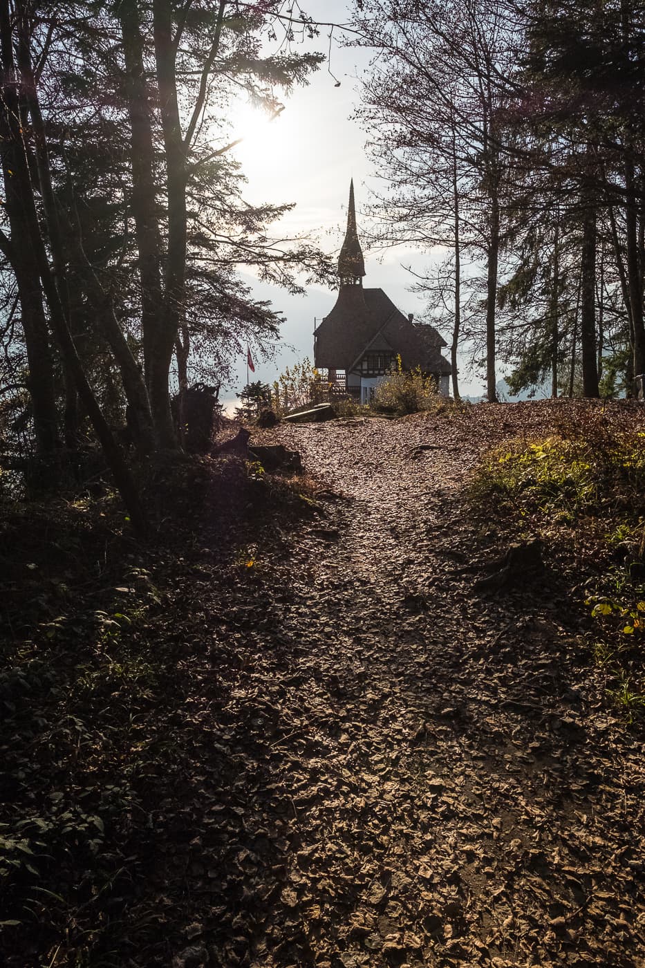 Waldspaziergang oberhalb Restaurant Harder Kulm