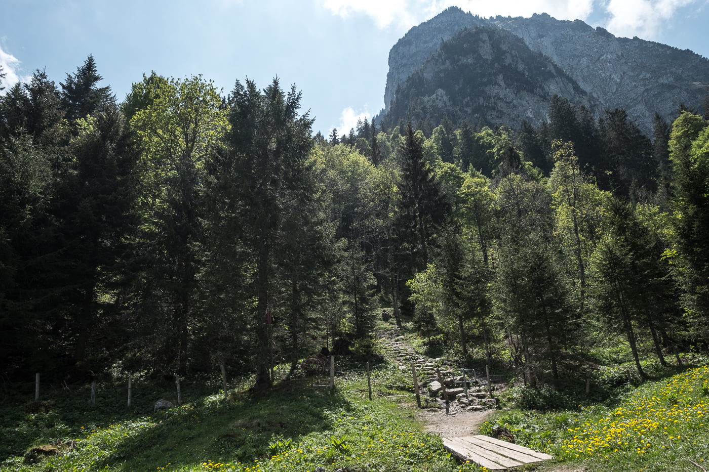 waldstueck-holzegg-brunni