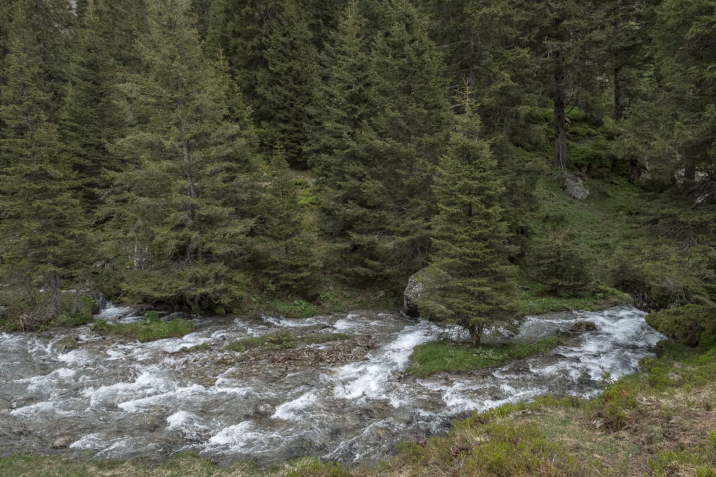 wandern arnigebiet