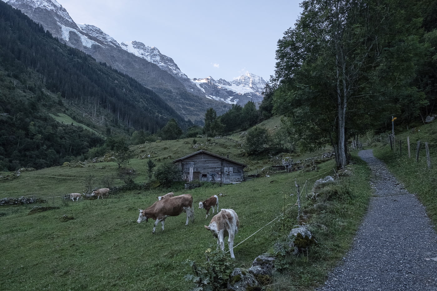 Wanderung Trachsellauenen