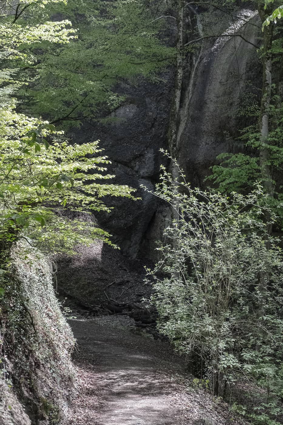 Wanderweg durch die Cholerenschlucht